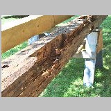 100_1843_large.jpg