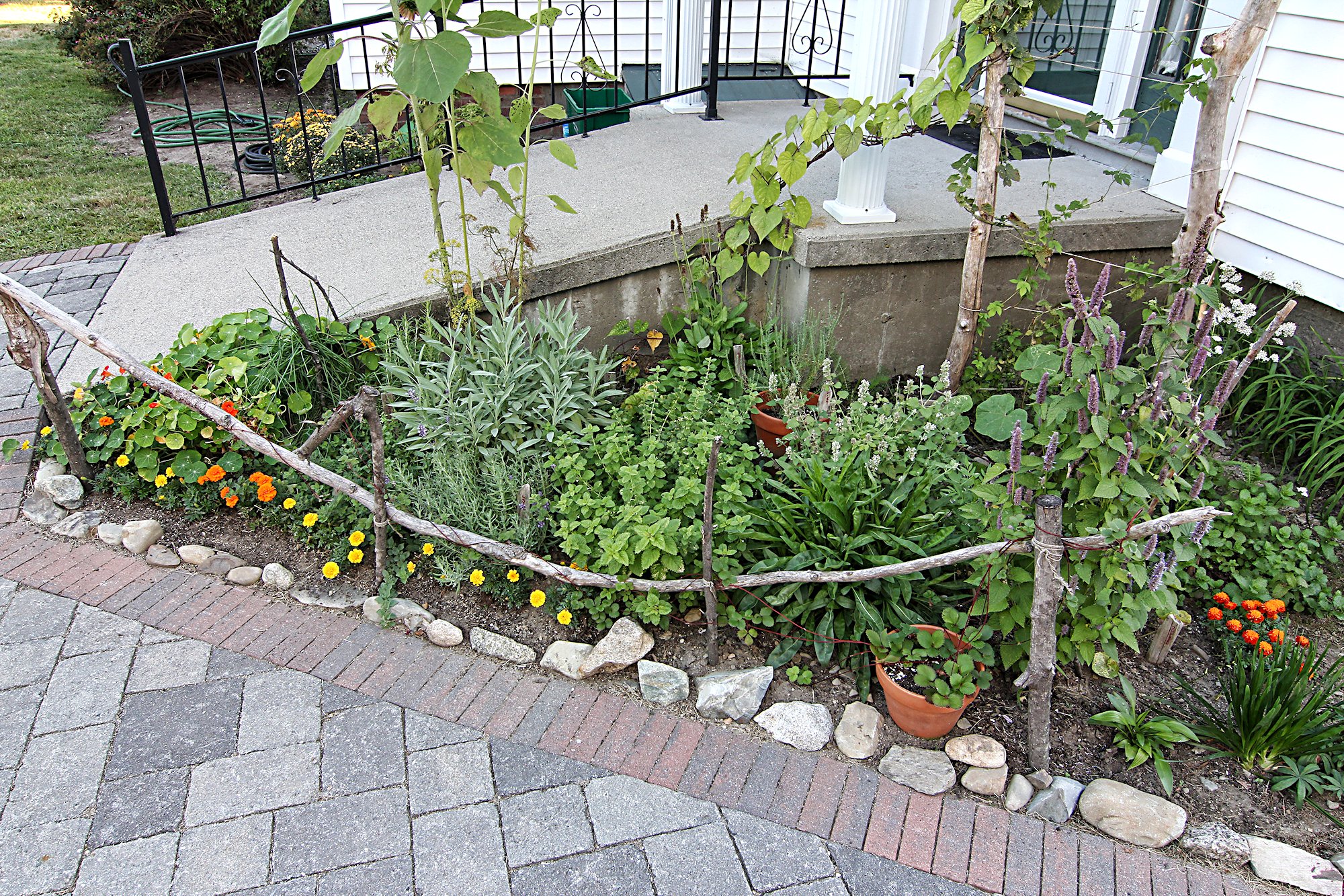 garden