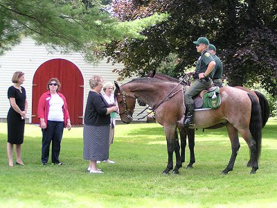 horse