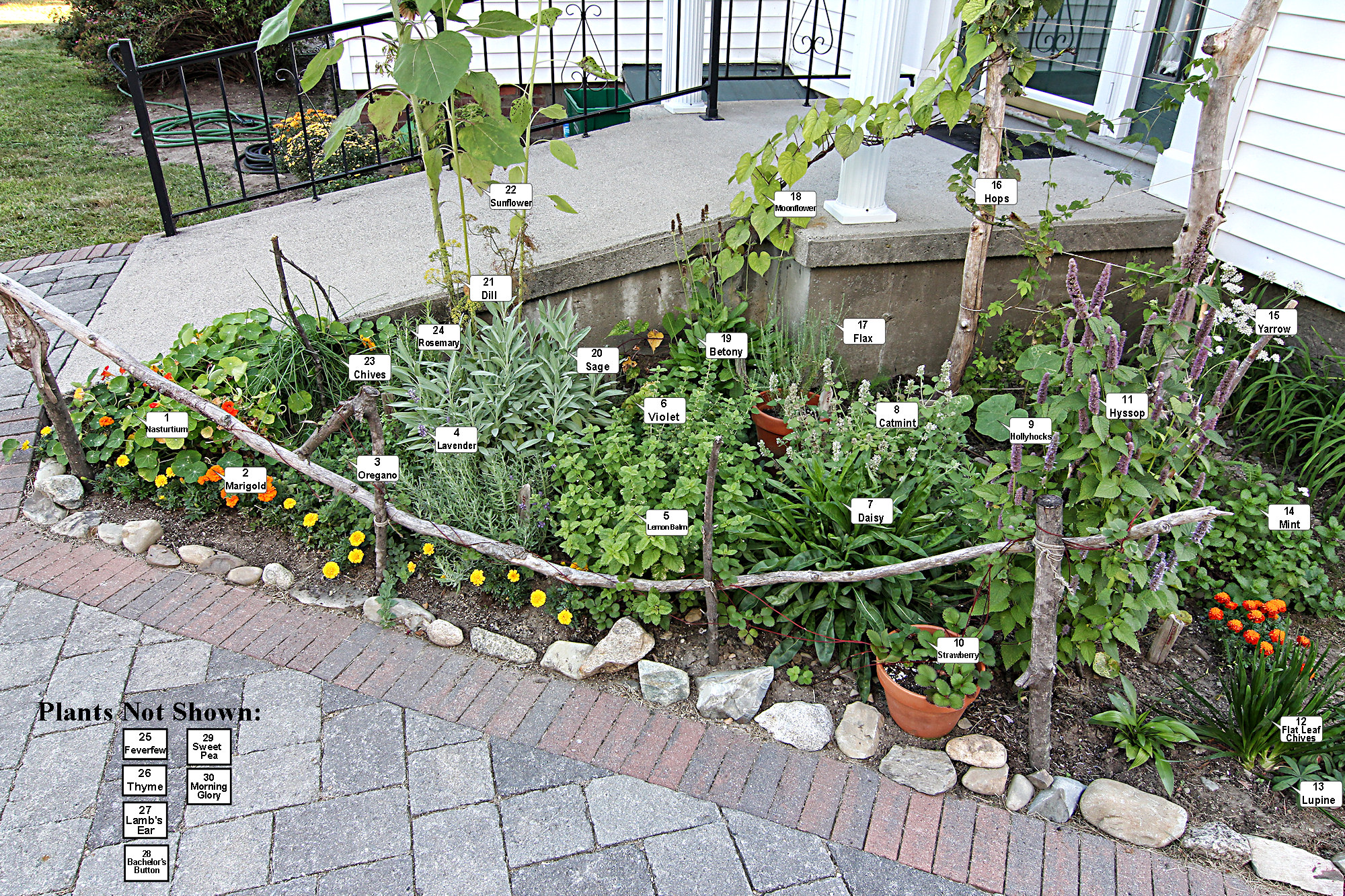 garden