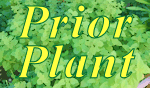 prior/next plant