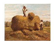 hay