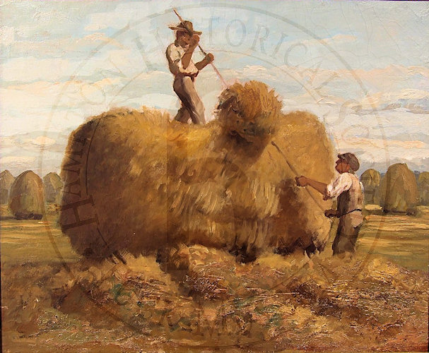 Hay