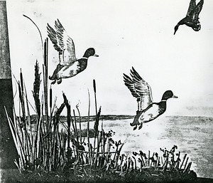 picture
